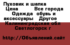 Пуховик и шапка  Adidas  › Цена ­ 100 - Все города Одежда, обувь и аксессуары » Другое   . Калининградская обл.,Светлогорск г.